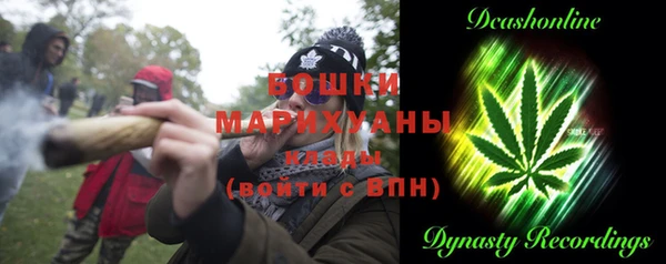 тгк Медвежьегорск