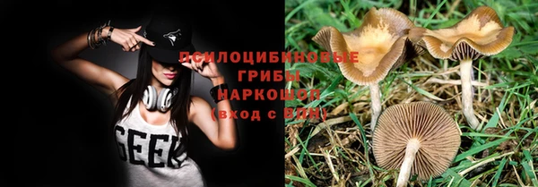 тгк Медвежьегорск